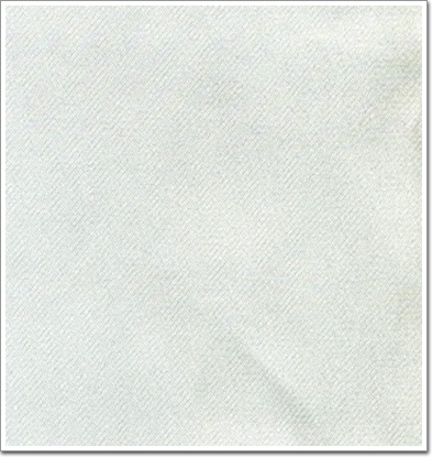 圖二 在10k倍電鏡下的納米膜片